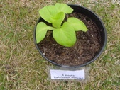 Enlarge photo 29