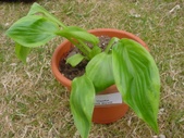 Enlarge photo 25