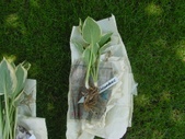 Enlarge photo 3
