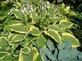 Enlarge photo 33