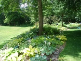 Enlarge photo 37