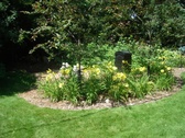 Enlarge photo 39