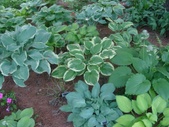 Enlarge photo 33