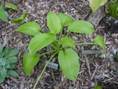 Enlarge photo 111