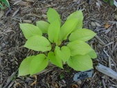 Enlarge photo 23
