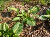 Enlarge photo 9