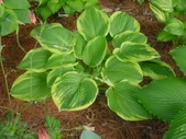 Enlarge photo 32