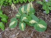 Enlarge photo 20