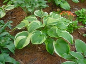 Enlarge photo 5
