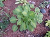 Enlarge photo 47