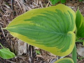 Enlarge photo 36