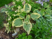 Enlarge photo 38