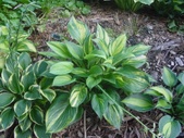 Enlarge photo 11