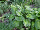 Enlarge photo 29