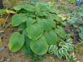 Enlarge photo 38