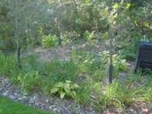 Enlarge photo 32