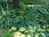 Enlarge photo 21