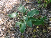 Enlarge photo 23