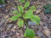 Enlarge photo 25
