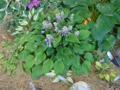 Enlarge photo 9