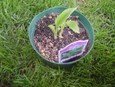 Enlarge photo 3