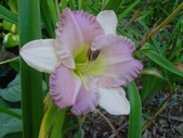 Enlarge photo 37