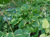 Enlarge photo 29