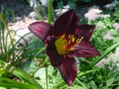 Enlarge photo 31