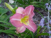 Enlarge photo 33