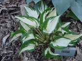 Enlarge photo 5