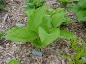 Enlarge photo 37