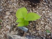 Enlarge photo 11