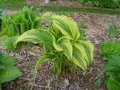 Enlarge photo 31