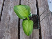 Enlarge photo 27