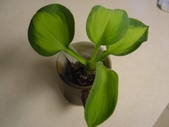 Enlarge photo 6