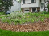 Enlarge photo 39