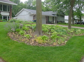 Enlarge photo 40
