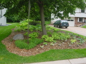 Enlarge photo 41