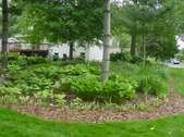 Enlarge photo 42
