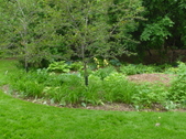Enlarge photo 43