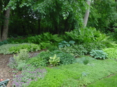 Enlarge photo 45