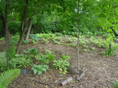 Enlarge photo 46