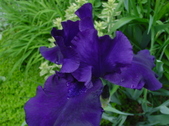 Enlarge photo 38