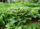 Enlarge photo 31
