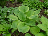 Enlarge photo 29