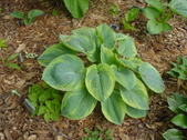 Enlarge photo 36