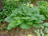 Enlarge photo 28