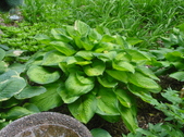Enlarge photo 27