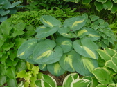 Enlarge photo 10