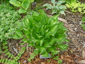 Enlarge photo 11
